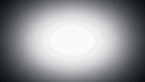 Abstract Floral - 2080