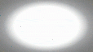 Adaptive Logo Stinger - 2085