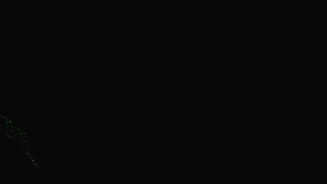 Black Logo Wind - 2124