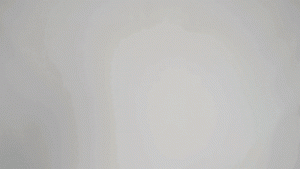 White Female Cap Logo - 1970